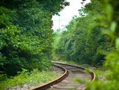 Netizens dub Nanjing railroad "most naturally beautiful"